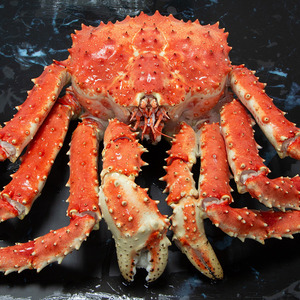 King Crab size 10lb