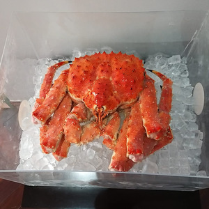 King Crab size 5
