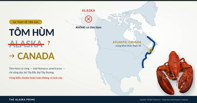What Is Alaskan Lobster? The Truth Behind the Name