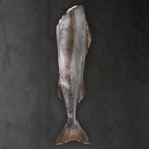 Cá tuyết than Alaska (Black Cod) - Nguyên con (H&G) 2.5 - 3.2kg