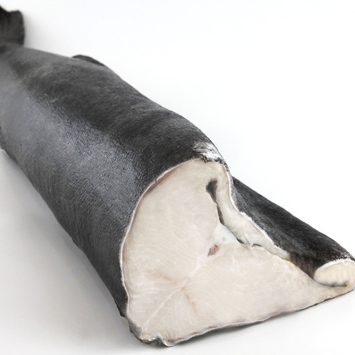 Cá tuyết than Alaska (Black Cod) - Nguyên con (H&G) 3.3kg+ - Hình 1