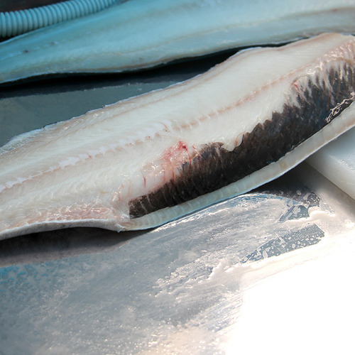 Cá tuyết than Alaska (Black Cod) Fillet size 600g - 800g - Hình 3