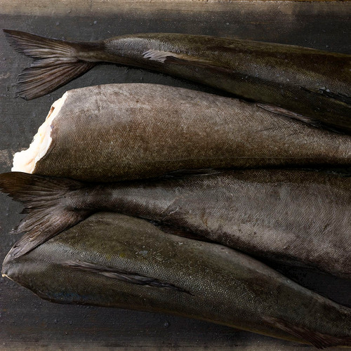 Cá tuyết than Alaska (Black Cod) - Nguyên con (H&G) 2.5 - 3.2kg - Hình 4