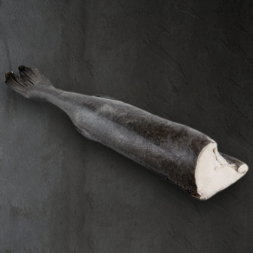 Cá tuyết than Alaska (Black Cod) - Nguyên con (H&G) 3.3kg+ - Hình 5