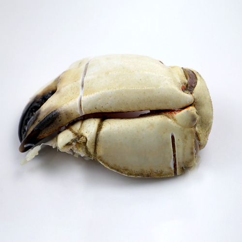 Jonah Crab Claws - 600g per bag - Hình 2