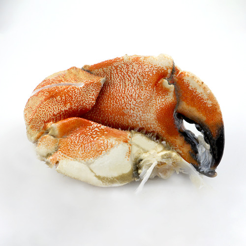 Jonah Crab Claws - 600g per bag - Hình 3