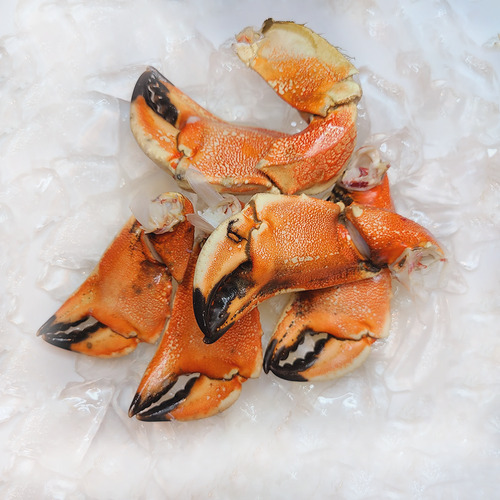 Jonah Crab Claws - 600g per bag - Hình 5