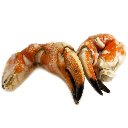 Jonah Crab Claws - 600g per bag - Hình 6