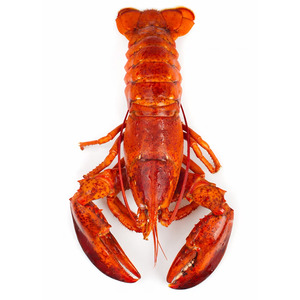 Lobster Canada Whole Cooked - Size 350g-400g