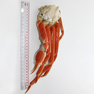Snow Crab Clusters (350g)