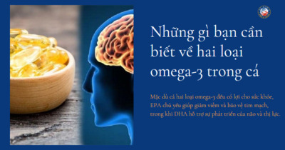 Sự khác biệt giữa EPA và DHA: Những gì bạn cần biết về hai loại omega-3 trong cá