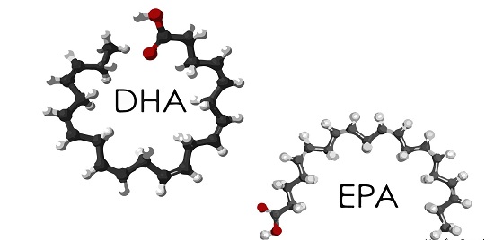 Sự khác biệt giữa EPA và DHA