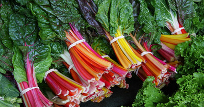 Swiss Chard: Nutritional Benefits and Amazing Health Effects