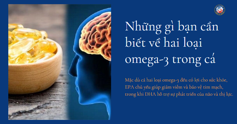 Trong Omega-3 Có Gì? Lợi Ích, Nguồn Thực Phẩm và Cách Sử Dụng Hiệu Quả