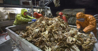 The first time Alaska cancels the snow crab fishing season.