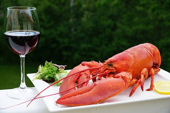 Lobster hấp chín