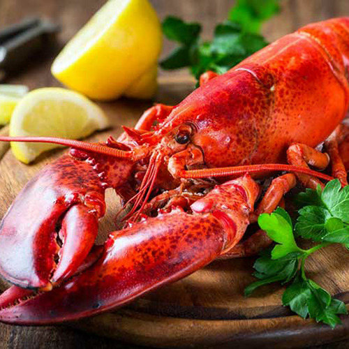 Lobster Canada Whole Cooked - Size 400g-450g - Hình 1