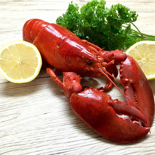 Lobster Canada Whole Cooked - Size 1000g - Hình 4