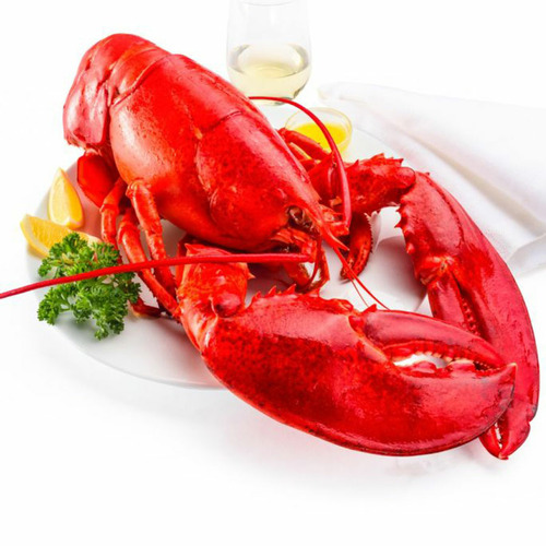 Lobster Canada Whole Cooked - Size 1000g - Hình 5