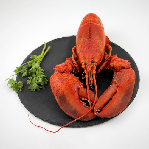 Lobster Canada Whole Cooked - Size 400g-450g - Hình 5