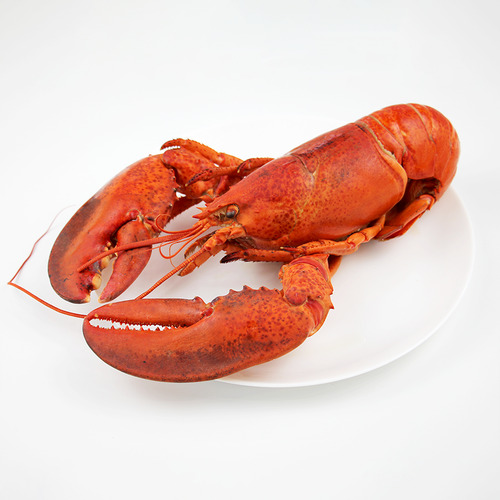 Lobster Canada Whole Cooked - Size 400g-450g - Hình 4