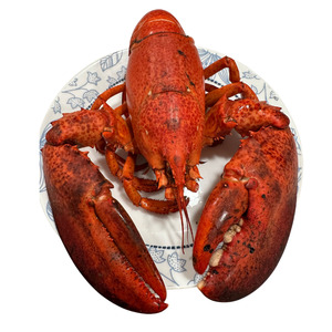 Tôm hùm Alaska Nguyên con hấp - Size 1kg +